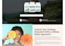 create a professional wordpress website for your business